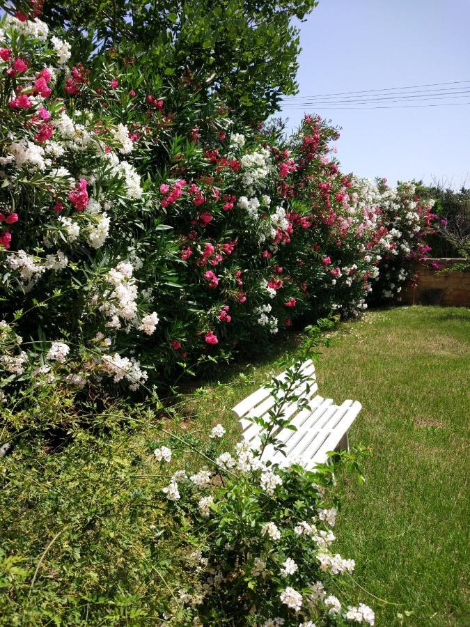 הוילה טראביה Giardino San Nicola מראה חיצוני תמונה